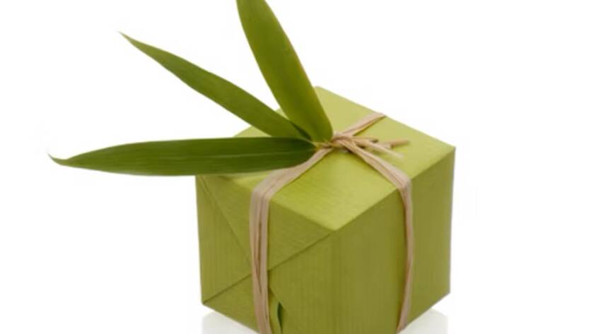 One-Year Anniversary Promoting Lastic®