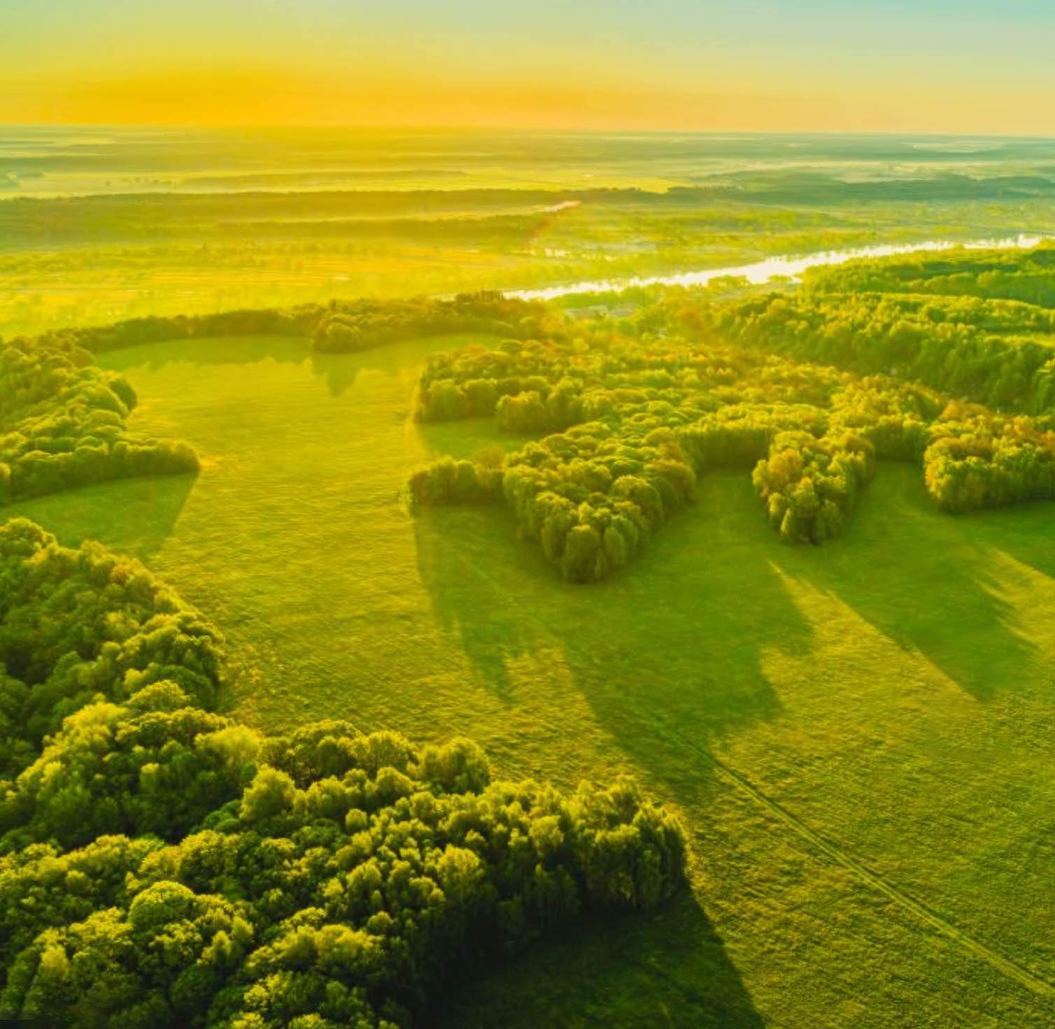IslandLeaf strives to be the leader in the global shift toward sustainable materials by creating a trading ecosystem where recycled, renewable, and biodegradable products are the standard — not the exception.